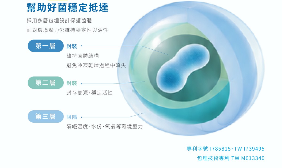伏甯益生菌專利包埋凍晶技術三層結構圖:第一層封裝維持菌體結構、第二層封存養源、第三層阻隔溫度水份氧氣